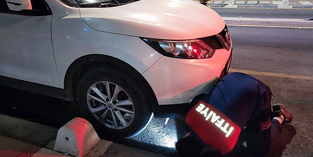 Çareyi not bırakmakta buldular! Ekipleri peşine takan kedi