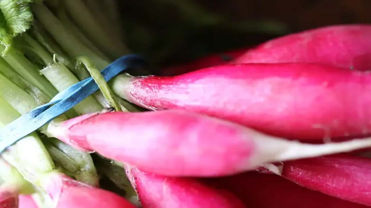 Çarpıcı iddia Canan Karatay'dan: Yumurta yiyin, zekayı artırır!