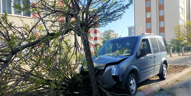 Çarptığı ağacı devirdi