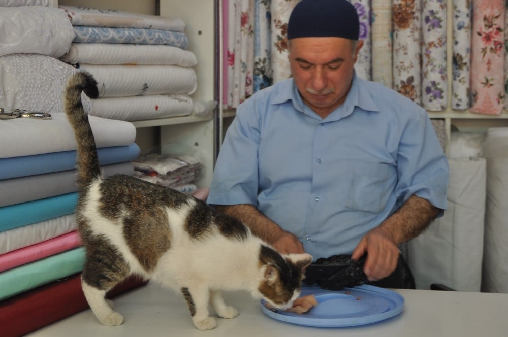 Çarşının maskotu haline gelen ’Can’ tavuk şiş dışında hiçbir yemeği yemiyor 