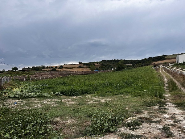 Çatalca'da bu yüzden çiftçiler canından bezdi