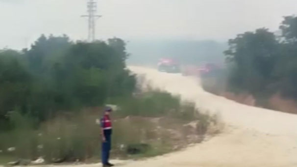 Çatalca'da orman yangını çıktı