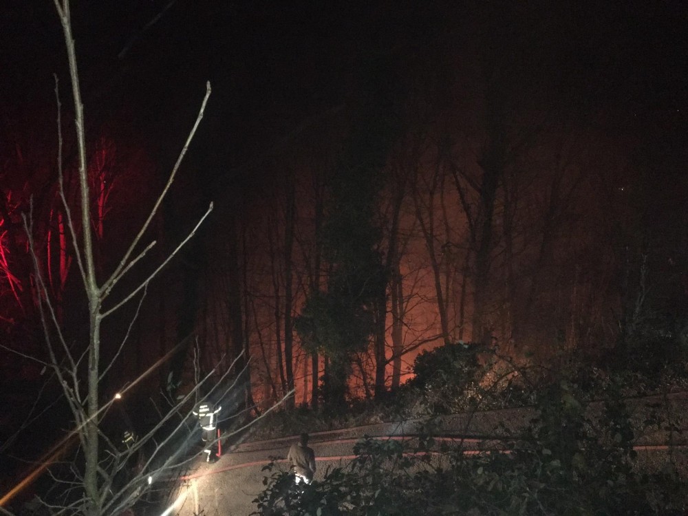 Çatalpınar’da orman yangını 