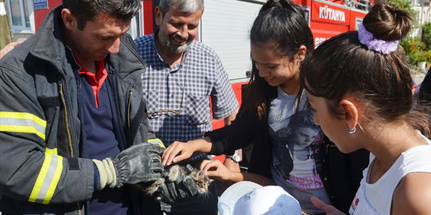Çatı arasında mahsur kalan kedi kurtarıldı