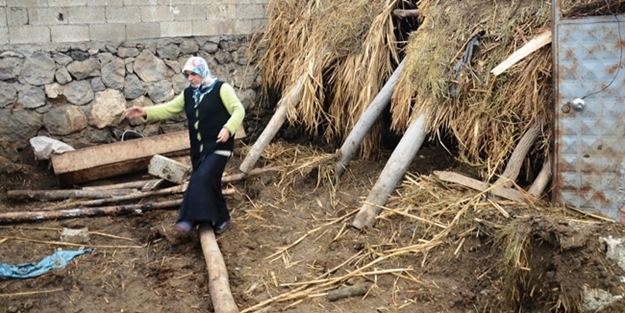 Çatı çöktü, hayvanlar telef oldu