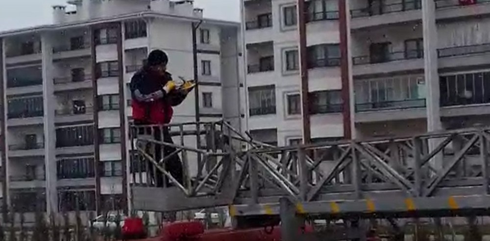 Çatıda mahsur kalan güvercini itfaiye kurtardı 