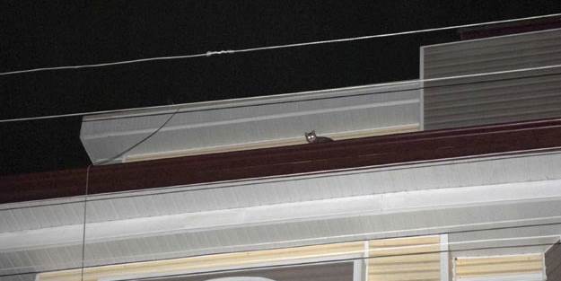  Çatıda mahsur kalan kedi için seferber oldular