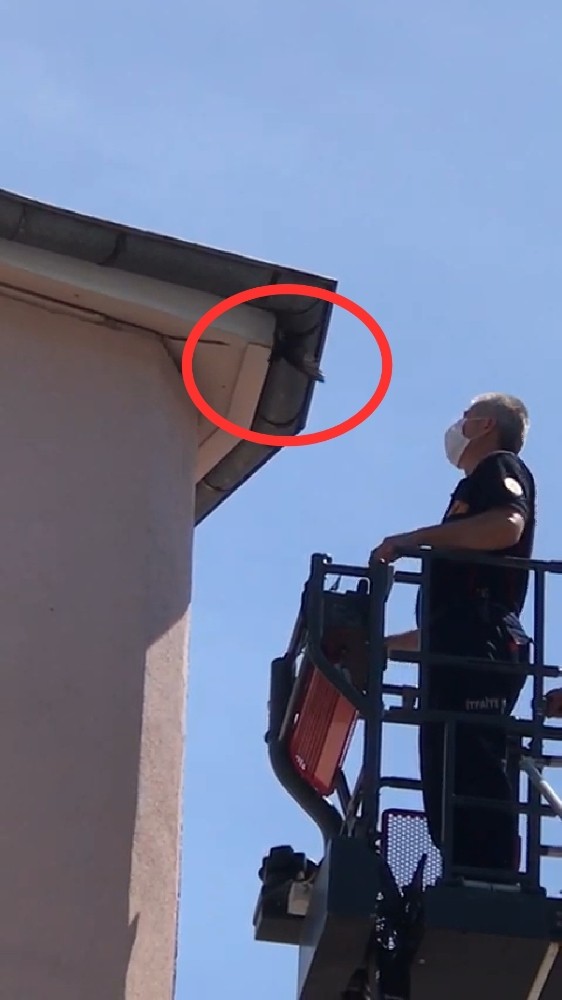 Çatıda sıkışan kırlangıcı itfaiye kurtardı 