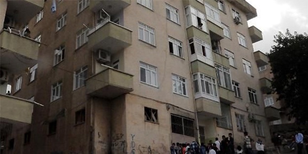 Çatıdan atlayan keçi Heval'i öldürdü