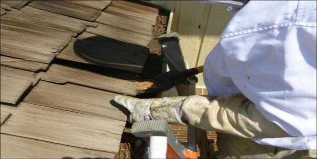 Çatıyı kaldırınca gözlerine inanamadı!