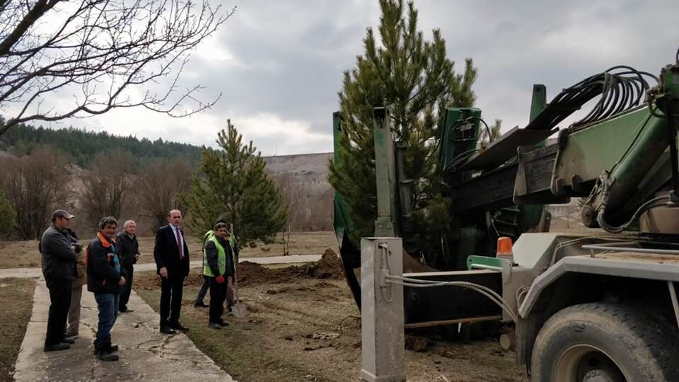 Çavdarhisar’da ağaçlandırma çalışmaları 