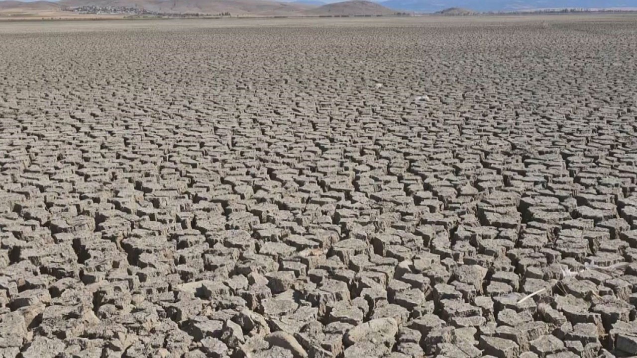 Çavuşçu Gölü kurudu! Bir zamanların balık cennetiydi