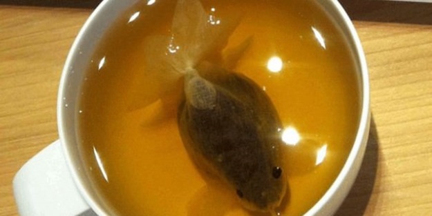 Çay fincanında ilginç görüntü