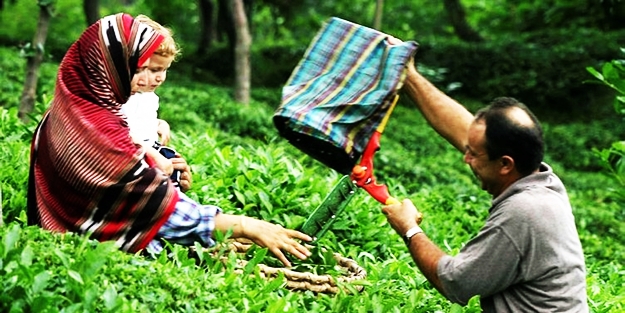 Karadeniz'de 100 bin İstanbullu korkusu! İzin verilmedi