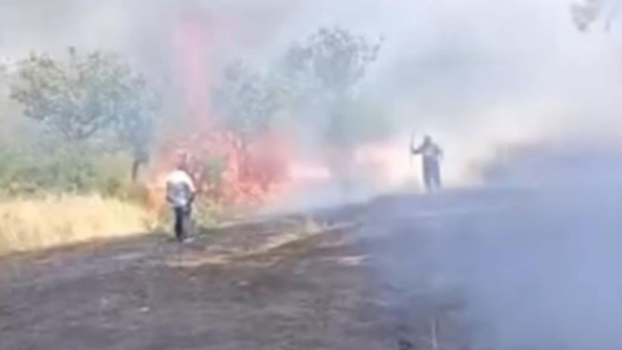 Çay içmek istemişlerdi... Fıstık ağaçları küle döndü