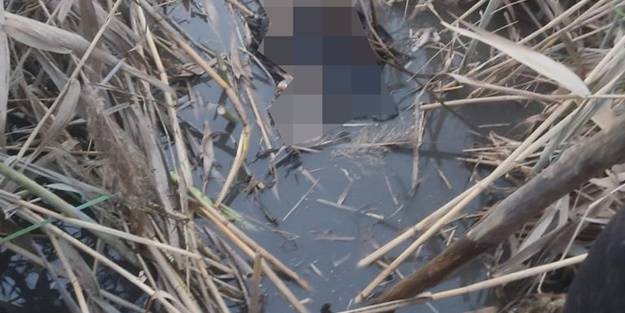 Çay kenarında ceset bulundu