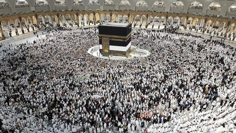 Çay toplamayı kolaylaştırmıştı! Bakın şimdi de hangi sorunu çözdü