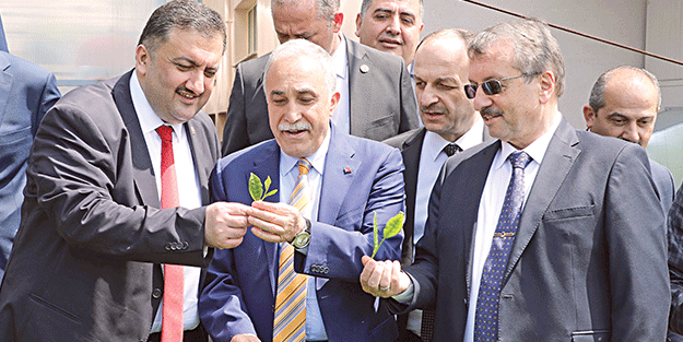 Çayda Sözleşmeli aile işletmeleri geliyor