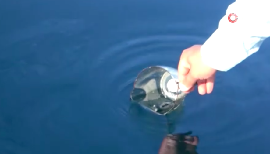 Çayeli açıklarında öyle bir şey bulundu ki.. Rizelileri sevindiren keşif!