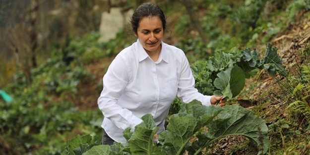 Çayeli'nde 3 yabancı dil bilen muhtar adayı
