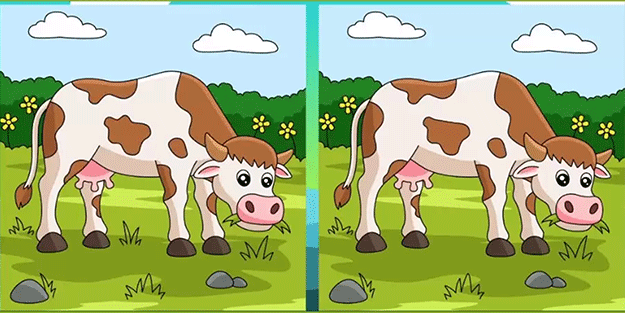 Çayırda otlayan iki inek arasındaki 3 farkı sadece yüksek IQ'su olanlar 12 saniyede buluyor