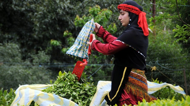 ÇAYKUR Fas'a ihracat yapacak