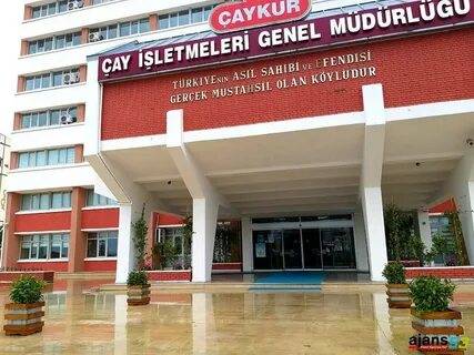 ÇAYKUR geçici işçi istihdam edecek