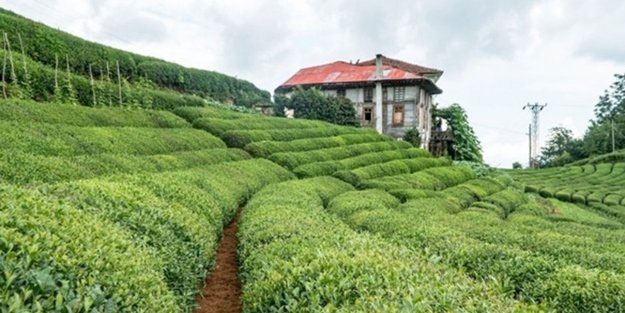 ÇAYKUR işçi alımı kura sonuçları isim listesi...
