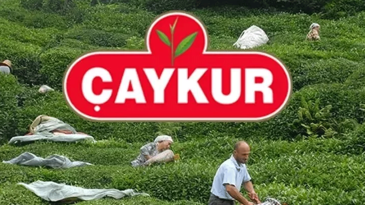 ÇAYKUR'un 1500 mevsimlik işçi alımı için başvuruları başladı