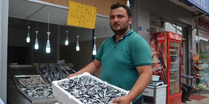 Yerli hamsi 10 TL