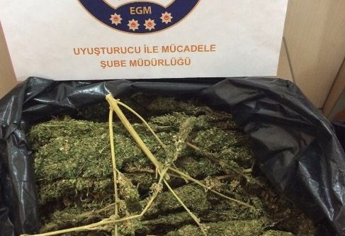 Adıyaman’da uyuşturucu operasyonu