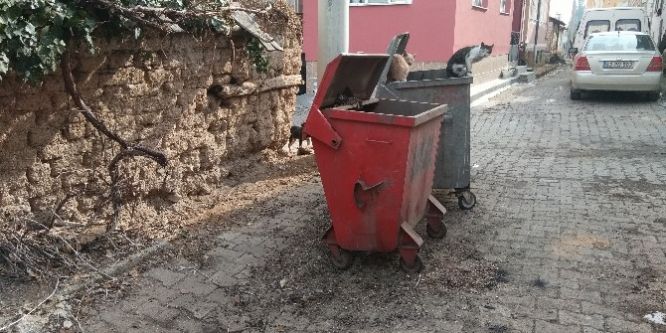 Hisarcık’ta 25 köyün çöpleri her hafta düzenli olarak alınıyor