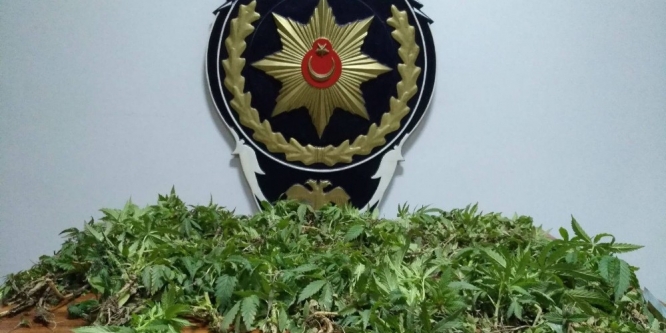 Tokat’ta uyuşturucu operasyonu: 12 gözaltı