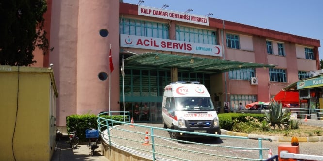 Arıların saldırısına uğrayan şahıs hayatını kaybetti