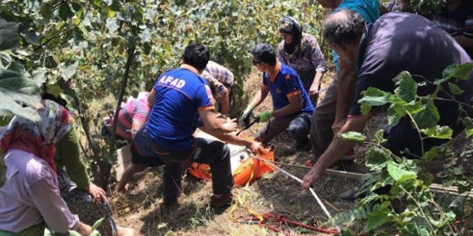 AFAD’dan inek kurtarma operasyonu