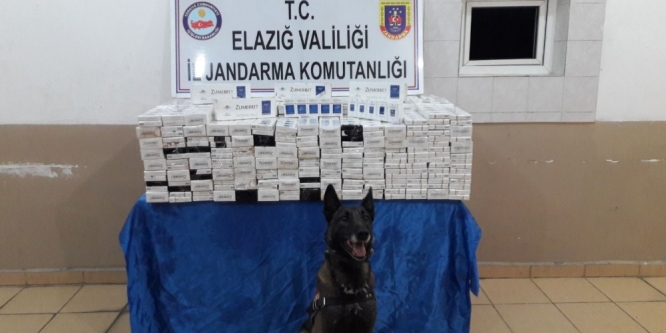 5 bin paket kaçak sigara ele geçirildi