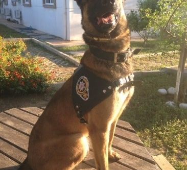 37 kilo eroin ele geçirildi