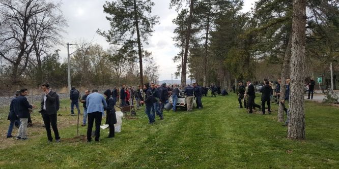 Kayseri ve Boğazlıyan Şeker çalışanları ağaçlandırma yaptı