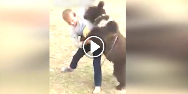 Çeçen çocuk ayıyla güreşirse...