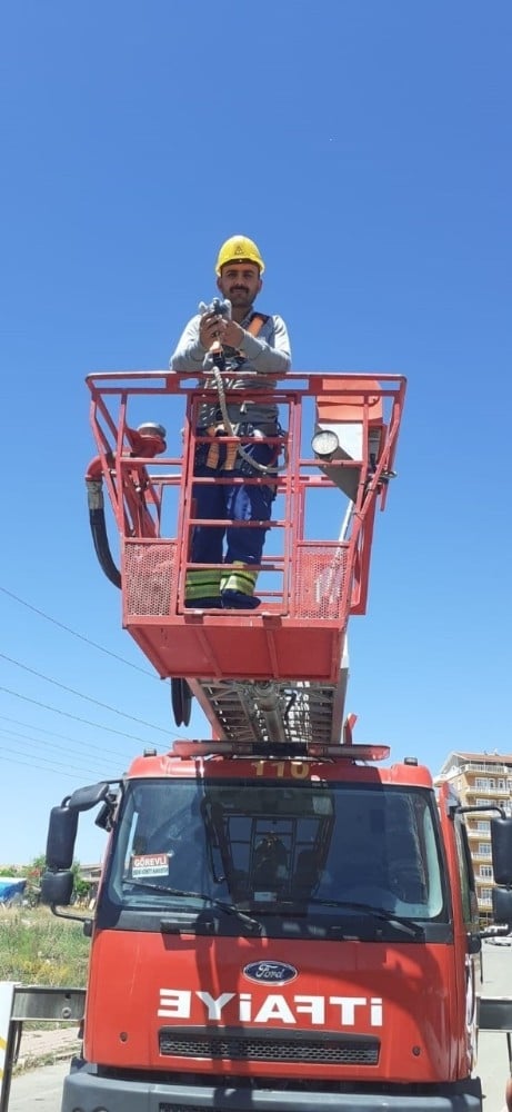 ÇEDAŞ ekipleri, enerji hattına takılan güvercini kurtardı 
