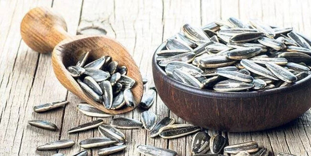 Çekirdek tüketmeniz İçin 5 neden! Çekirdek kabuklarını asla atmayın, çöpe atan bin pişman! Şaşıracaksınız