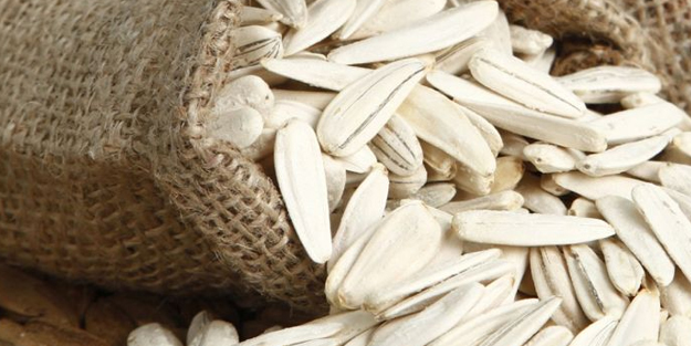 Çekirdek tüketmeniz için 5 neden! Her gün bir avuç yerseniz...