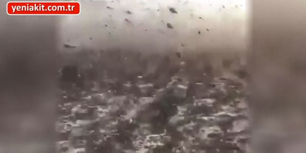 Çekirge istilası Kur'an-ı Kerim'de böyle anlatılıyor! Yürekleri titreten ayetler
