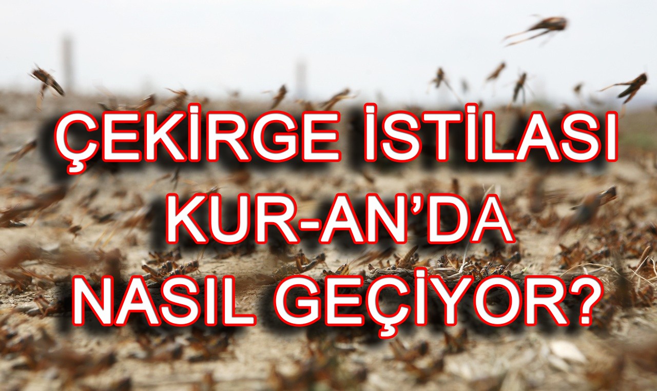 Çekirge istilası Kur'an'da nasıl geçiyor?