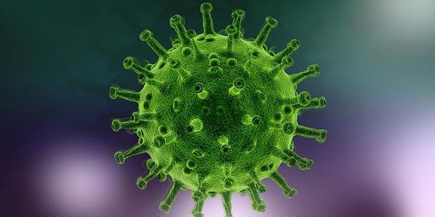 Çekya'da koronavirüs nedeniyle ilk ölüm