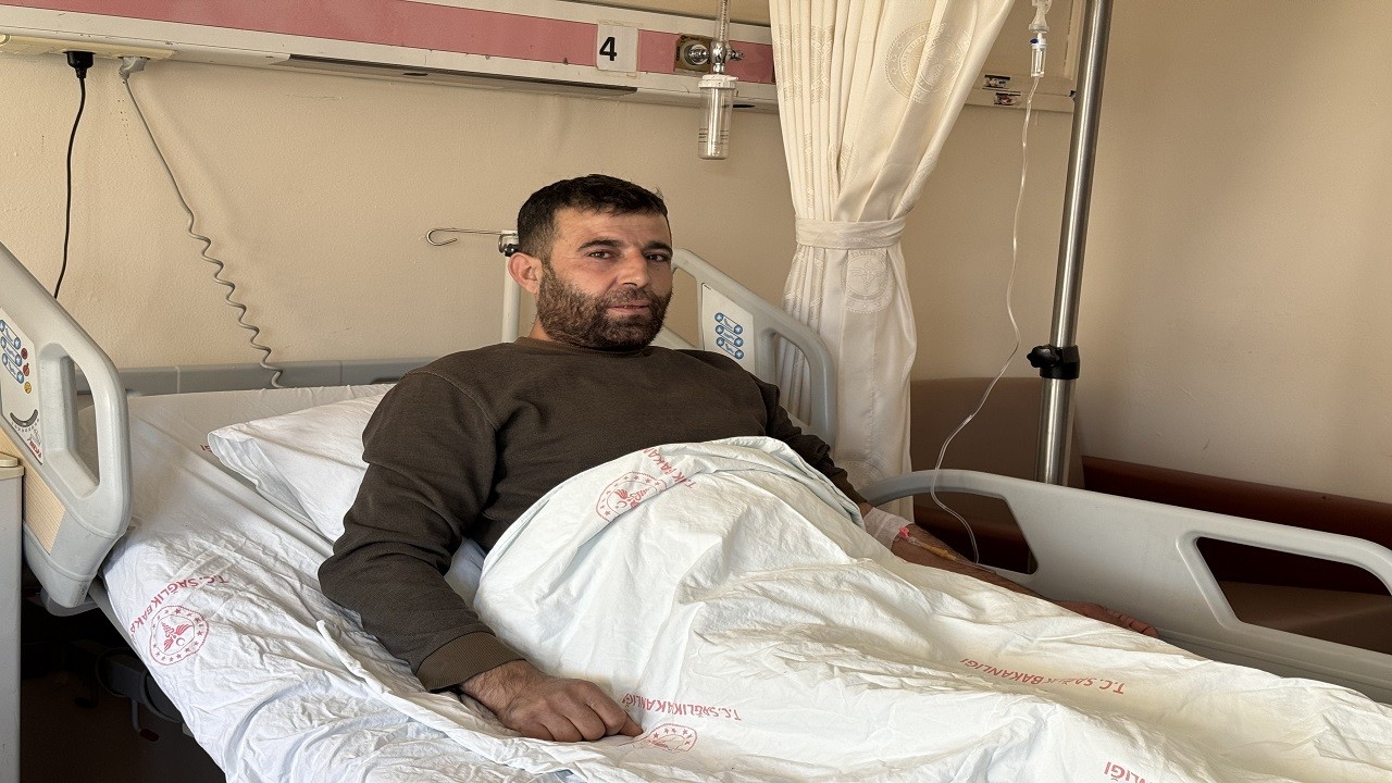 Çekya'dan geldi Mardin'de şifa buldu