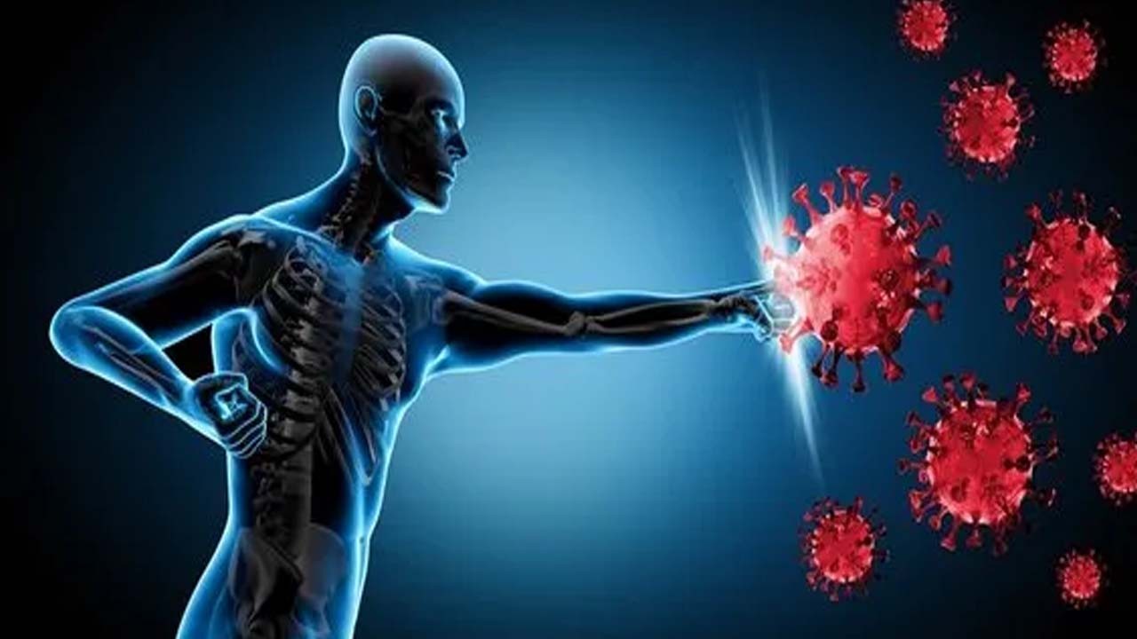 Çelik gibi yapan 7 madde! Sağlıklı yaşam için bağışıklığı güçlendiren besini tüketin,