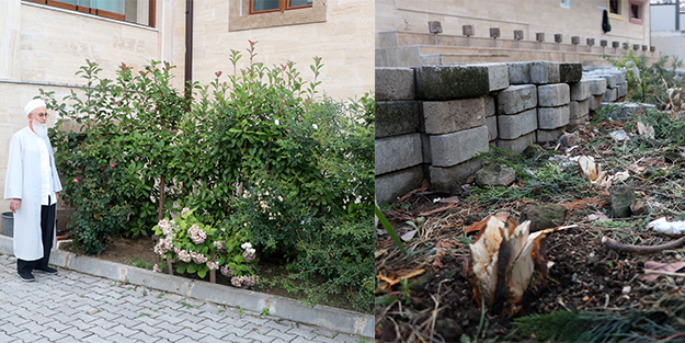 Cemaat namazdayken ağaçları çaldılar