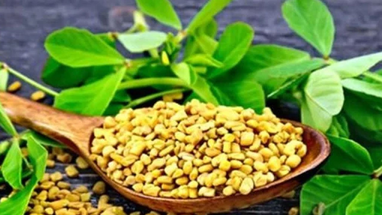 Çemen Otu! Çemen otundan gelen mucize yetecek! Gerçek enerji kaynağı!