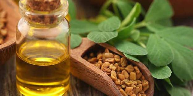 Çemen Otunun Faydaları Nelerdir?